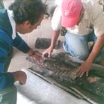 Obras-Santo-Domingo (17)
